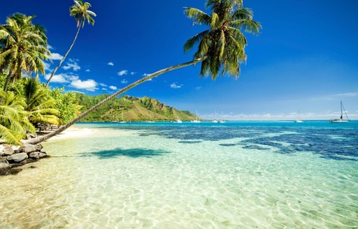 Tahiti is abundant in paradise beaches for charter guests to explore