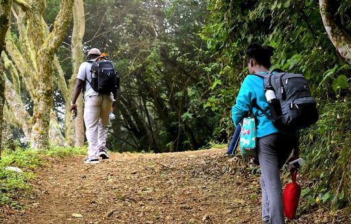 Jamaica - Blue Mountains hiking path