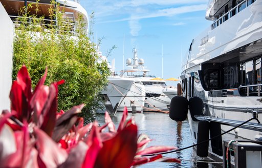 Superyacht charters berthed at Palm Beach International Boat Show
