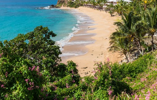 A deserted sandy beach in Antigua