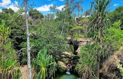 Isalo National Park Madagascar trees, waterfall