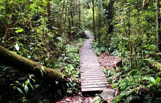 Mount Sage National Park path in forest