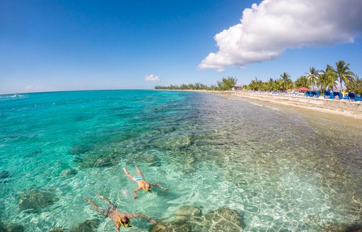 people float in clear water near beach in the bahamas, with palm trees on the shore and sandy beach in background