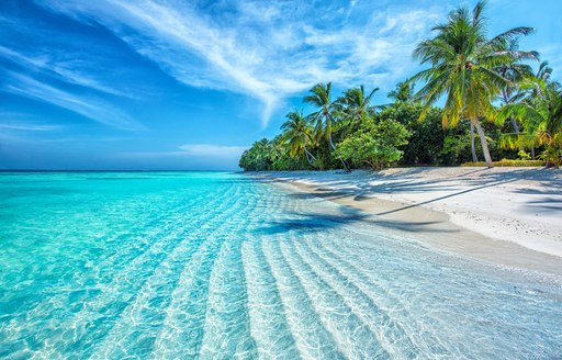 blue waters and palm trees in the Caribbean