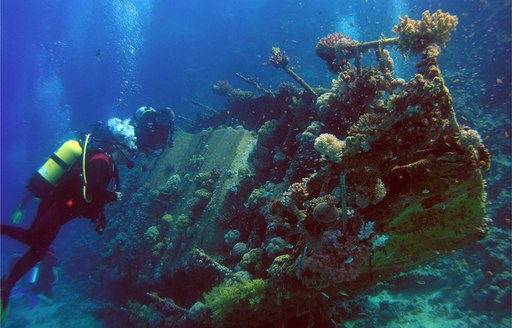 diving at Shipwreck in St Kitts