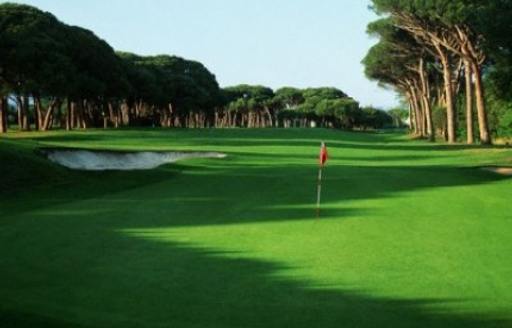 The umbrella-pine lined fairways of Golfe de Cannes-Mandelieu, French Riviera