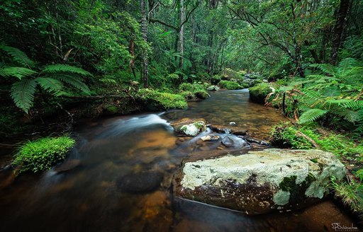 Andasibe-Mantadia National Park Madagascar river