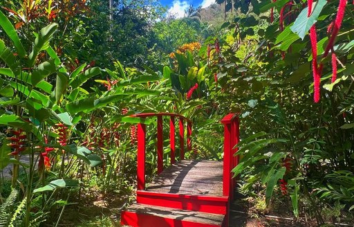 Diamond Falls Botanical Gardens & Mineral Baths St Lucia