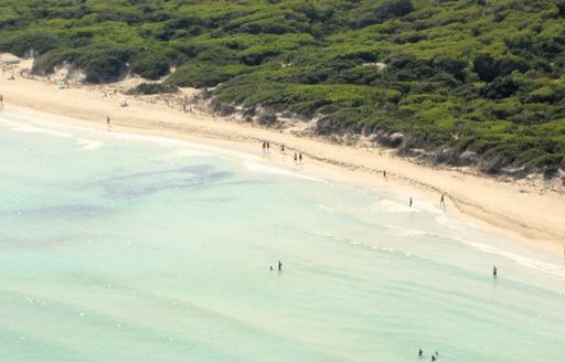 Platja de Muro Mallorca beach