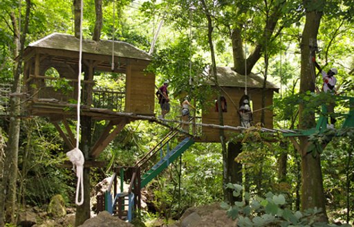 treehouse at the Antigua Rainforest Zip Line Tour