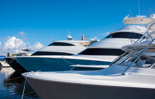 Yachts lined up in a marina