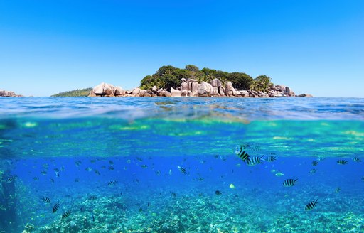 Under and above water photo of small island in Seychelles