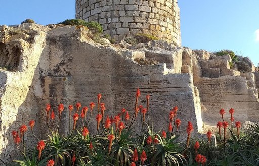 Isabel II Fortress / Mola Fortress Menorca
