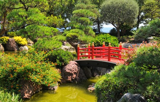 bridge over river in jardin exotoque in monaco