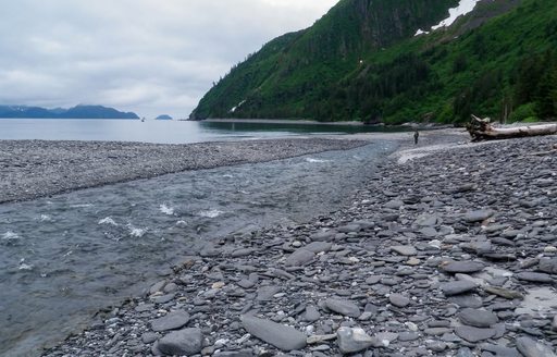 Kenai Fjords National Park rocky beach and mountain