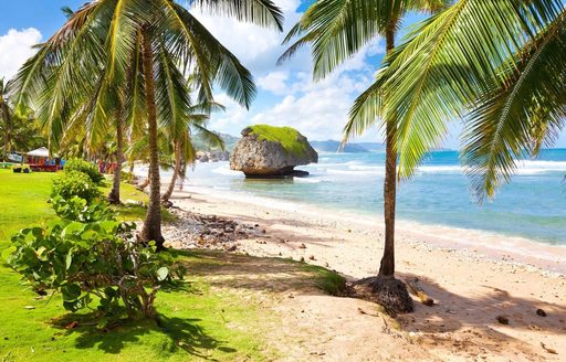 Bathsheba Barbados beach