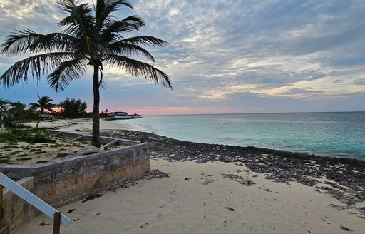 Sunset with silhouettes of palm trees by the shoreline 