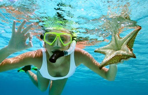 Snorkeler holds a starfish with a thumbs up sign