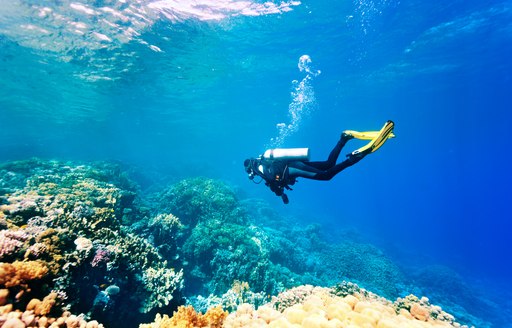 diving in greece