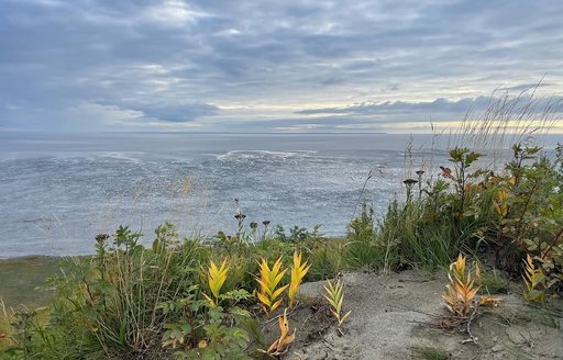 Kincaid Park coast