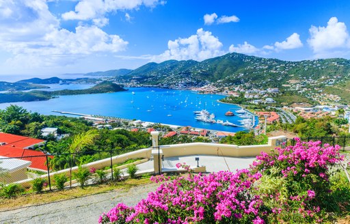 Panoramic view of St Thomas US Virgin Islands.  Sea,  and hilly backdrop and colorful flowers in foreground