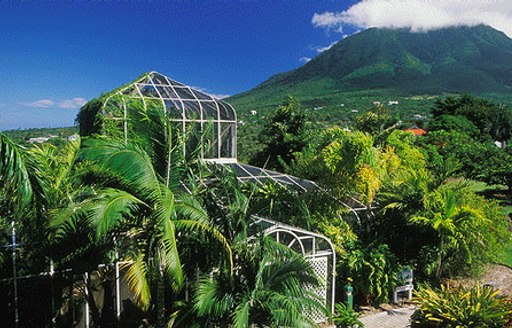 volcano and rainforest in st kitts, Caribbean 