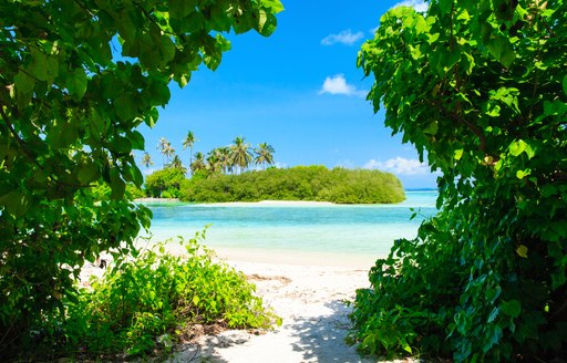 a small island viewed through a gap in foliage in the maldives