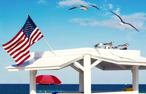 American flag flying with flying seagulls in usa