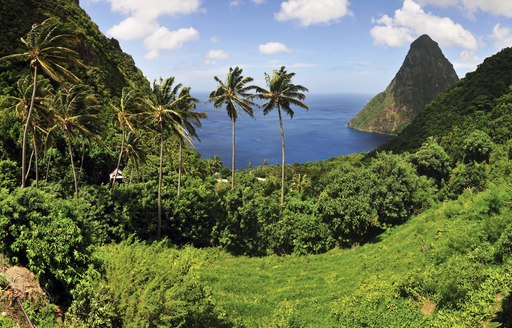 yacht charter destination of st lucia with palm trees and pitons