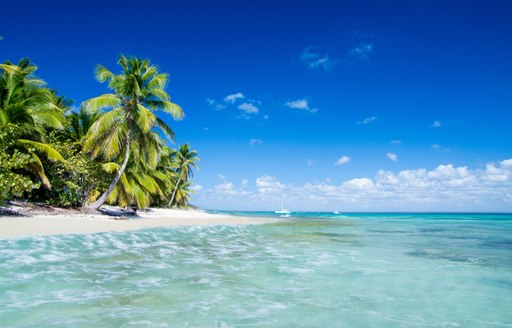 Bahamas island and clear blue ocean