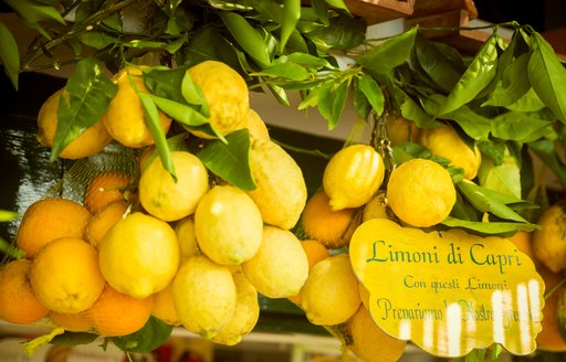 Lemons in Capri