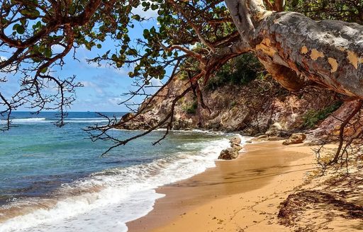 Presqu'Île Caravelle Martinique beach