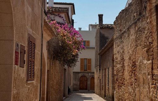 Alcúdia Old Town Mallorca street