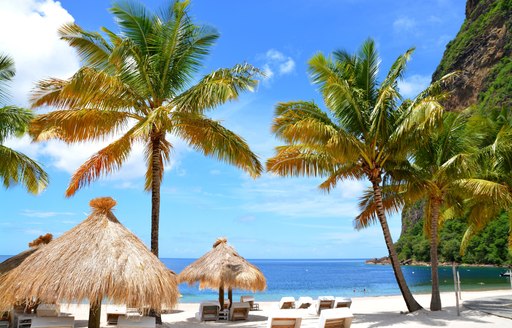 Sandy beach in St Lucia, with palm trees and overlooking the Caribbean sea