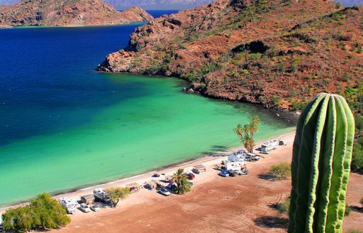 Elevated view of a beach and a cactus in Mexico