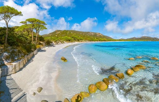 Palombaggia Beach shoreline