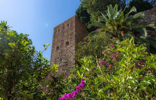 Alcazaba Malaga greenery