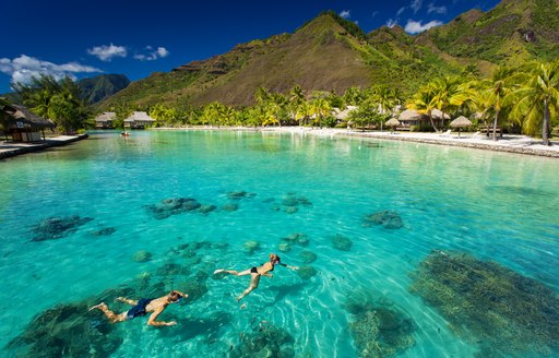 two people snorkelling in turquoise water beside a lush palm island