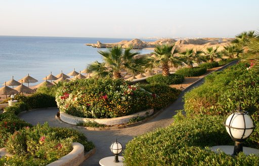 Green foliage and a sea view along Egypt coastline