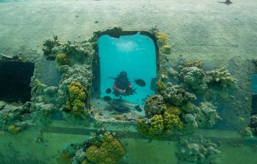 Exumas - Pablo Escobar's Plane Wreck snorkeling