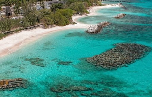 Carlisle Bay Barbados reef
