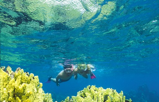 two people snorkel in the usvi