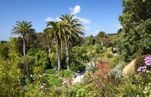 Tresco gardens in the Scilly Isles