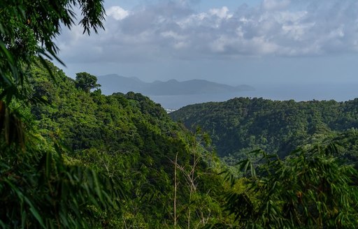 Jardin de Balata Martinique mountains