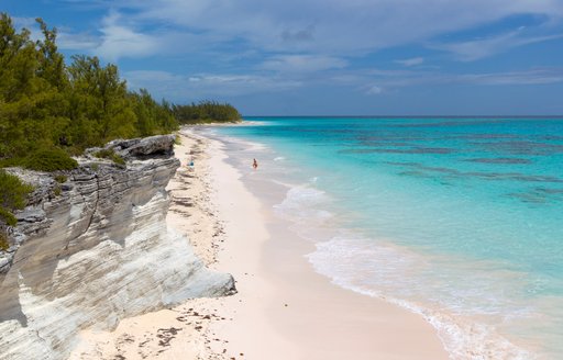 Sandy beach with palms in the Bahamas