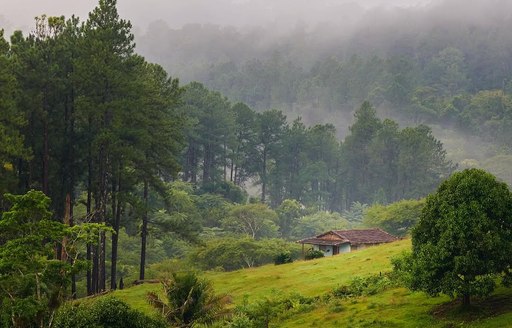 Gran Parque Natural Topes de Collantes Cuba fog