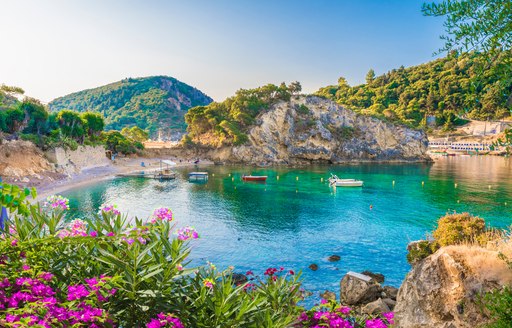 Secluded Greek bay with indigenous flora and fauna
