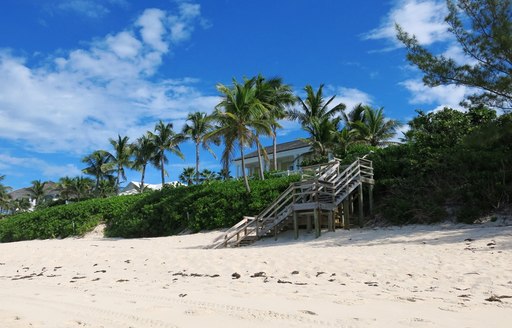 Hut looking out over Cabbage Beach, Bahamas