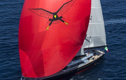 sailing yacht SEAHAWK's spinnaker