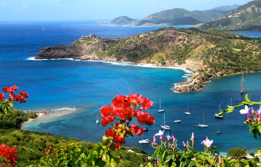 bvi landscape